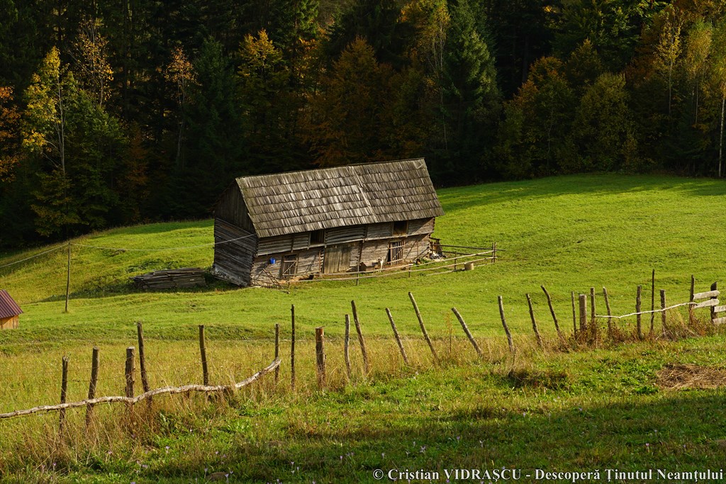 Poveste de toamnă în Neamț, un proiect organizat de Consiliul Județean Neamț – fotografia 84
