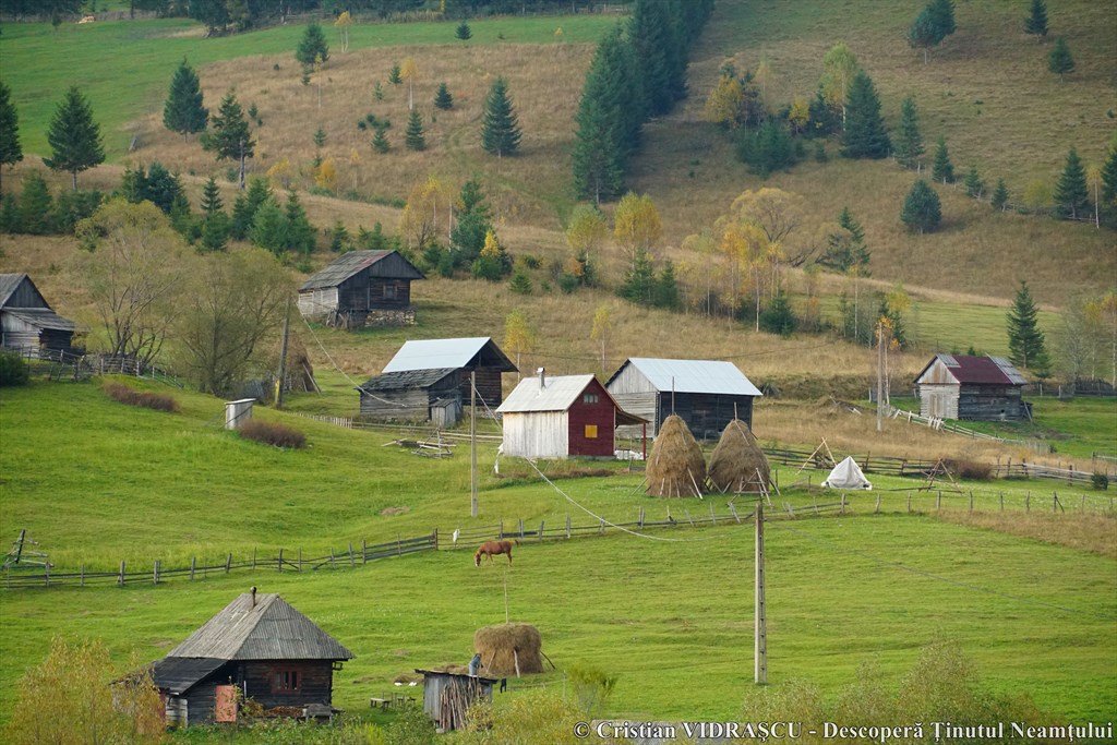 Poveste de toamnă în Neamț, un proiect organizat de Consiliul Județean Neamț – fotografia 87