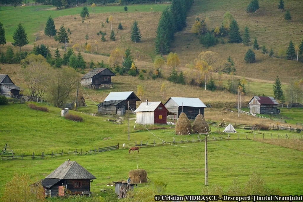 Poveste de toamnă în Neamț, un proiect organizat de Consiliul Județean Neamț – fotografia 5