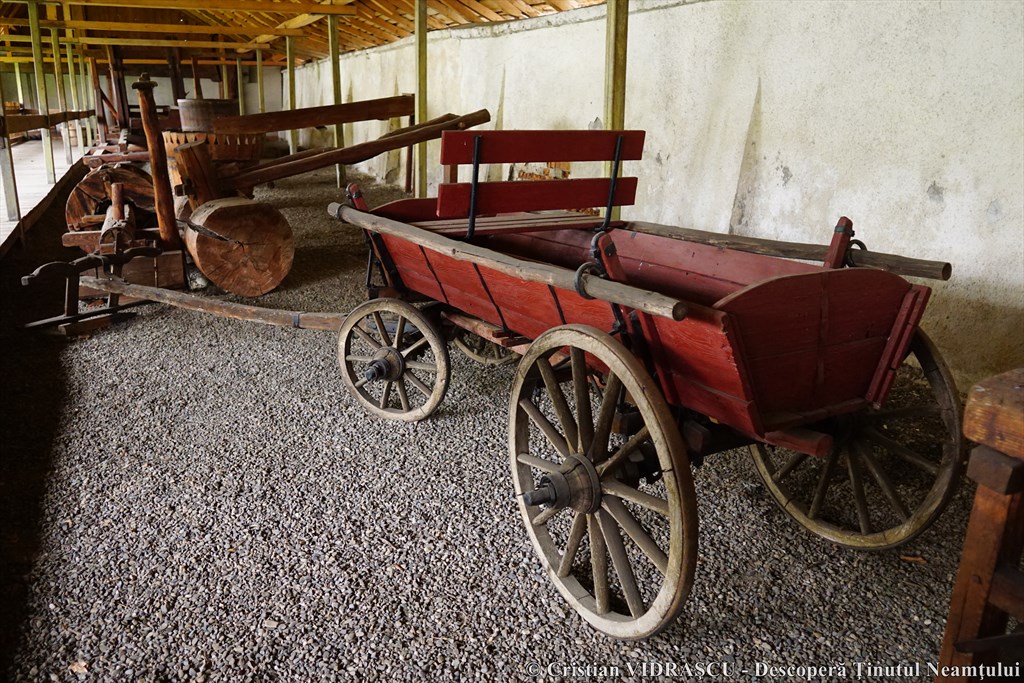 Poveste de toamnă în Neamț, un proiect organizat de Consiliul Județean Neamț – fotografia 89