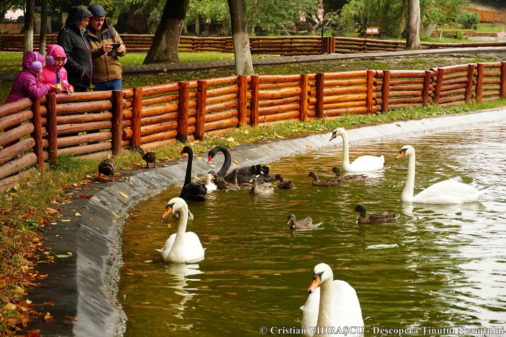 Poveste de toamnă în Neamț, un proiect organizat de Consiliul Județean Neamț – fotografia 92