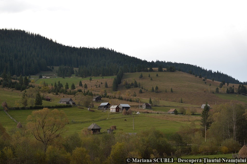 Poveste de toamnă în Neamț, un proiect organizat de Consiliul Județean Neamț – fotografia 41