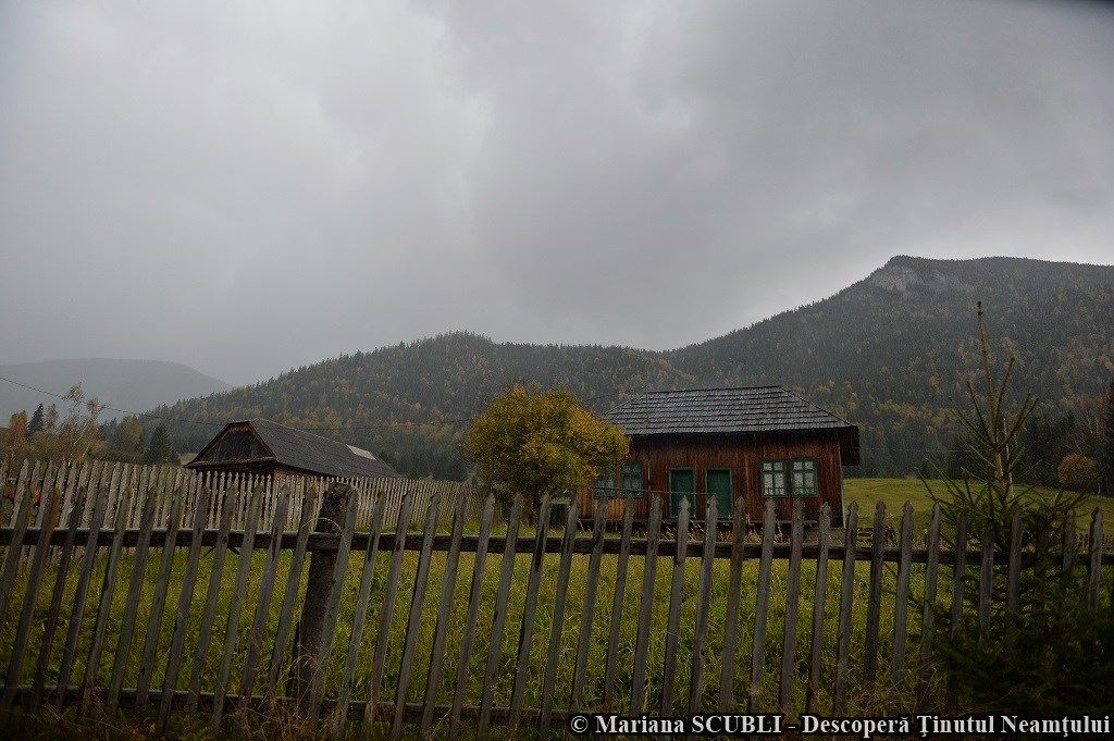 Poveste de toamnă în Neamț, un proiect organizat de Consiliul Județean Neamț – fotografia 43