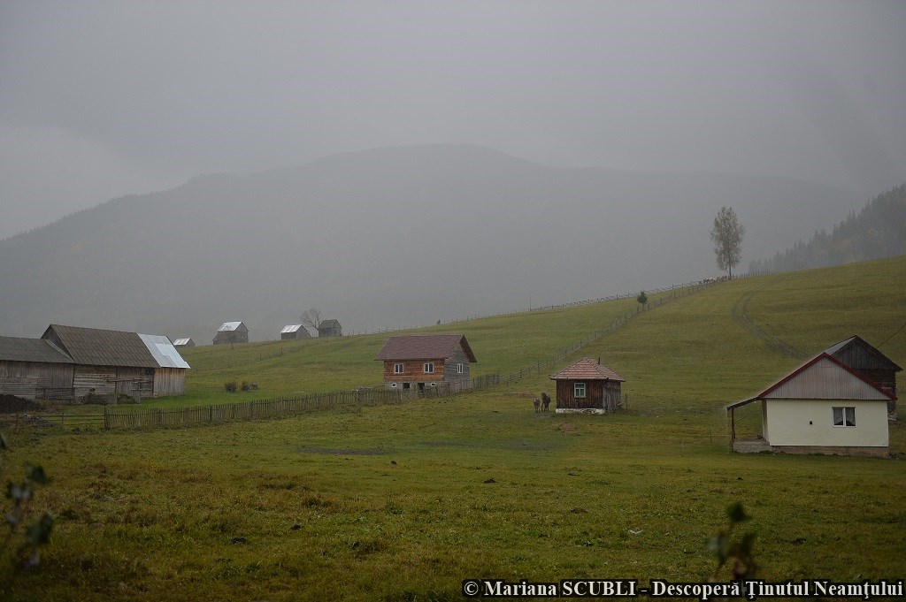 Poveste de toamnă în Neamț, un proiect organizat de Consiliul Județean Neamț – fotografia 15