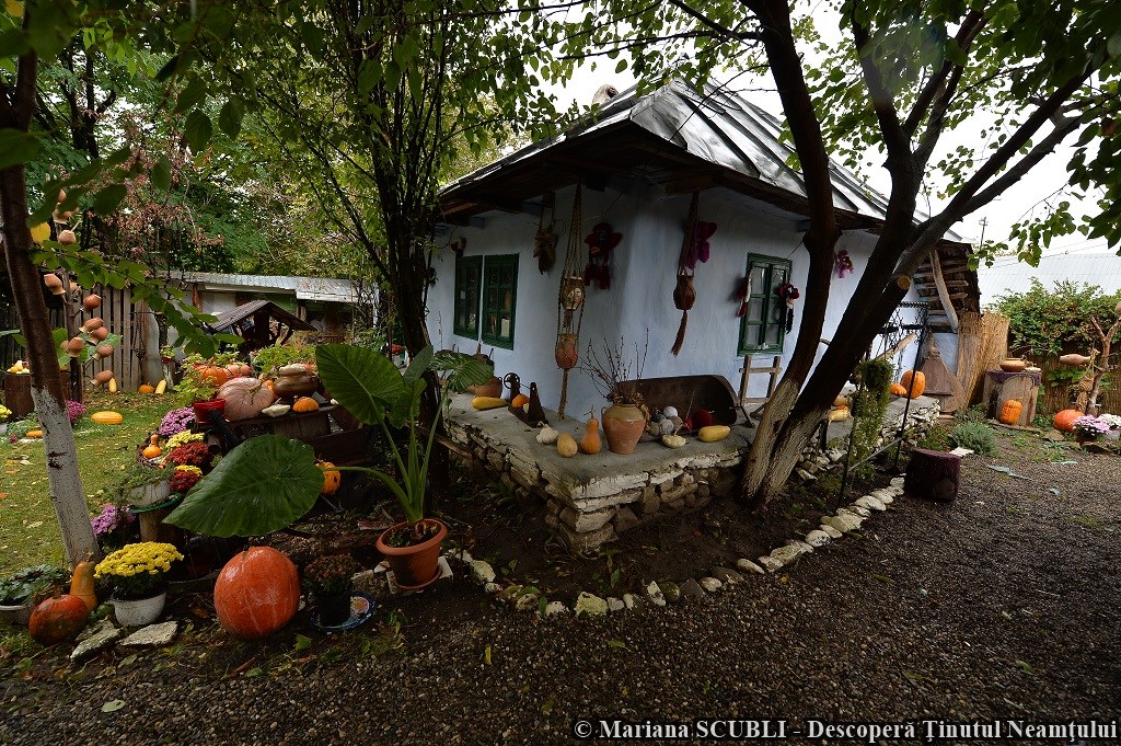 Poveste de toamnă în Neamț, un proiect organizat de Consiliul Județean Neamț – fotografia 17