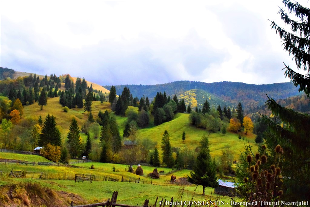 Poveste de toamnă în Neamț, un proiect organizat de Consiliul Județean Neamț – fotografia 58