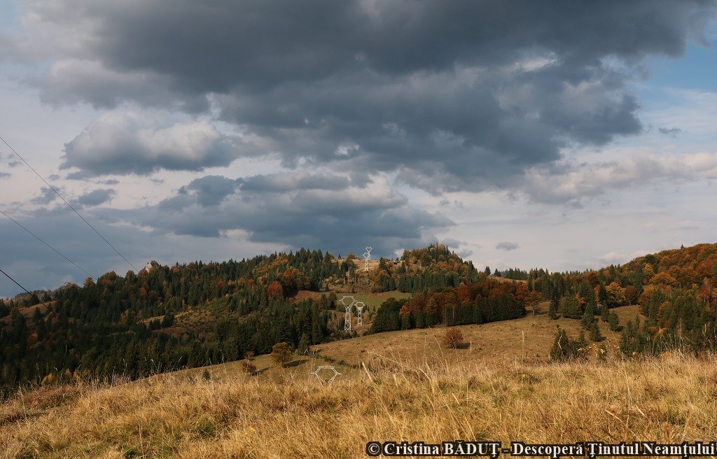 Poveste de toamnă în Neamț, un proiect organizat de Consiliul Județean Neamț – fotografia 9