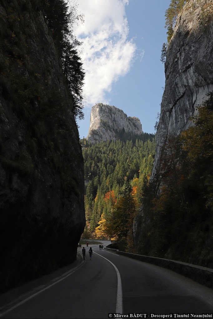 Poveste de toamnă în Neamț, un proiect organizat de Consiliul Județean Neamț – fotografia 27
