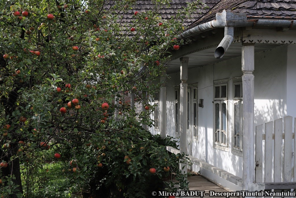 Poveste de toamnă în Neamț, un proiect organizat de Consiliul Județean Neamț – fotografia 61