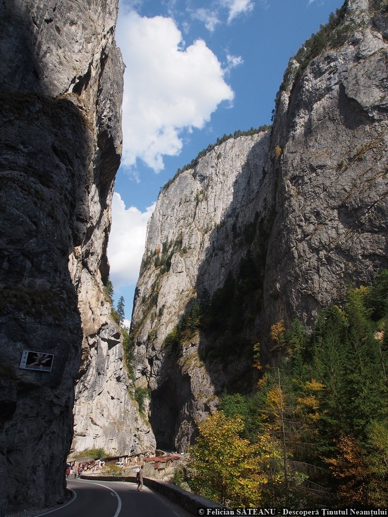 Poveste de toamnă în Neamț, un proiect organizat de Consiliul Județean Neamț – fotografia 24