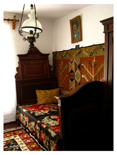 Casa Memoriala Alexandru Vlahuta
