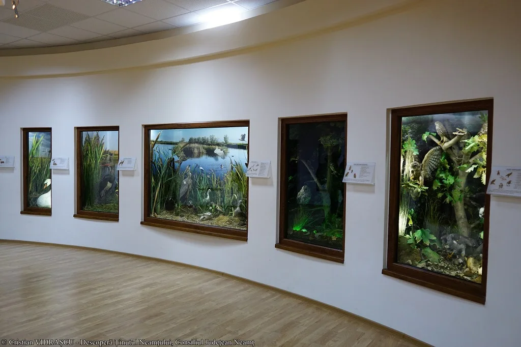 Descoperă municipiul Roman! – photo 9