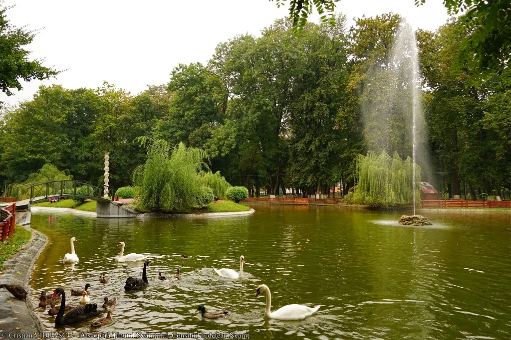 Descoperă municipiul Roman! – photo 1