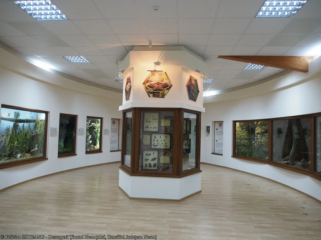 Descoperă municipiul Roman! – photo 16