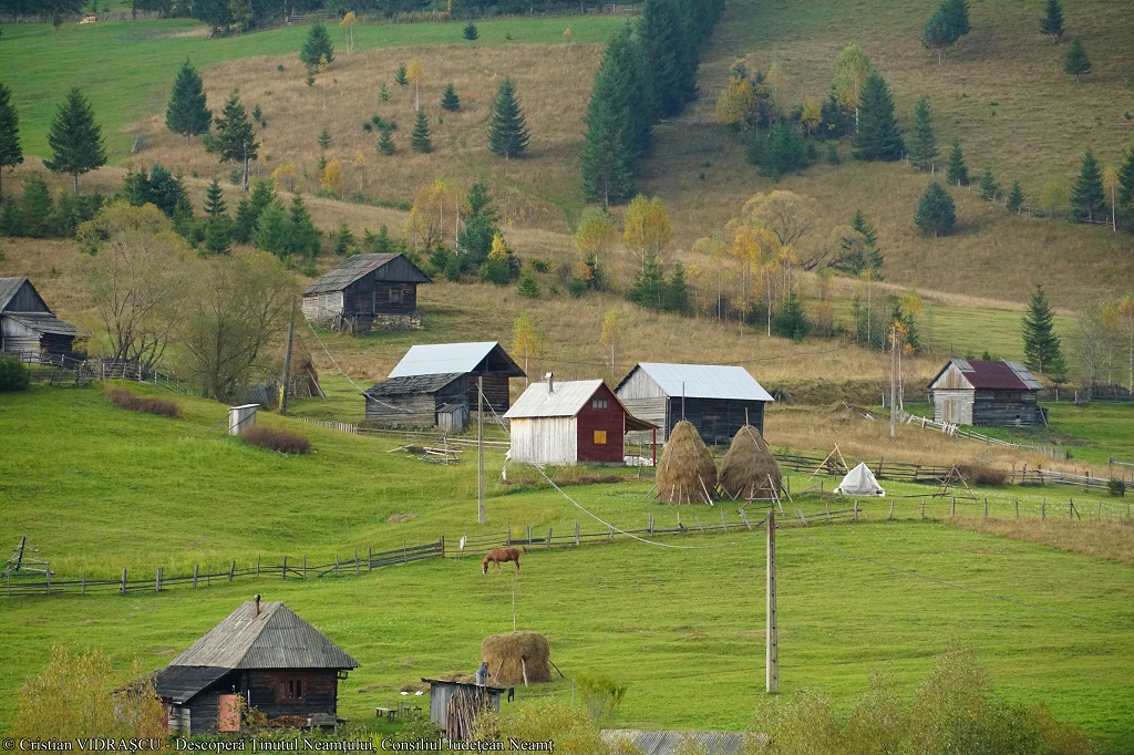 Conectează-te la Neamț! – fotografia 15