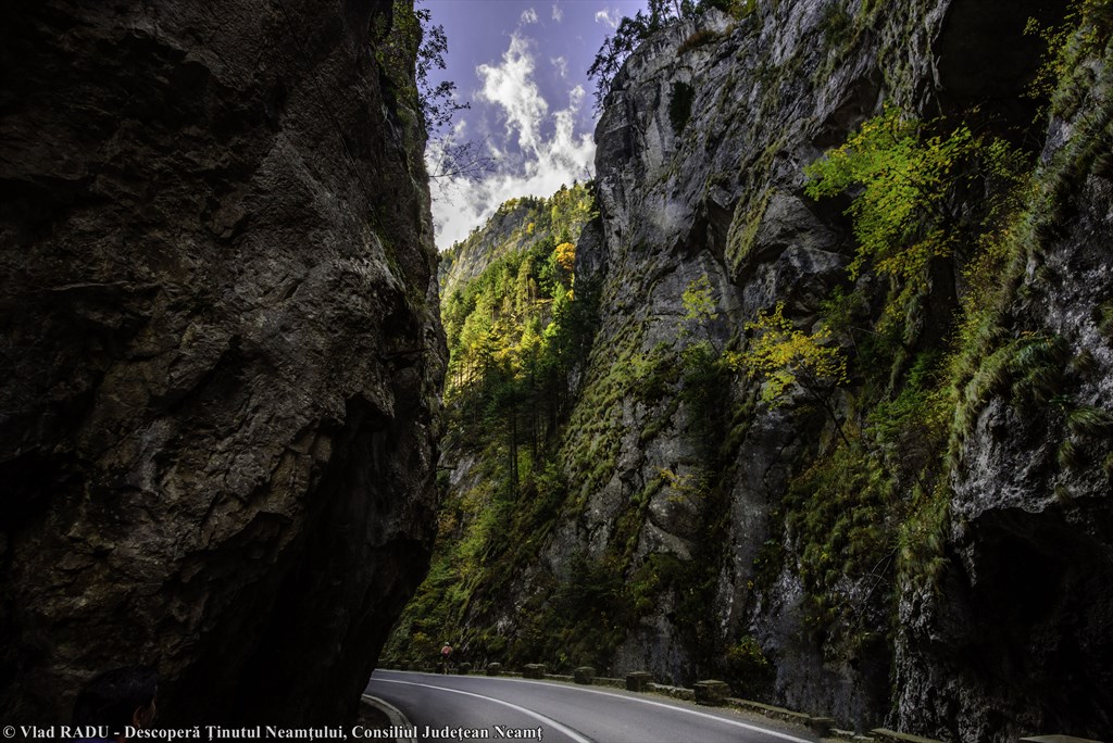 Conectează-te la Neamț! – fotografia 30