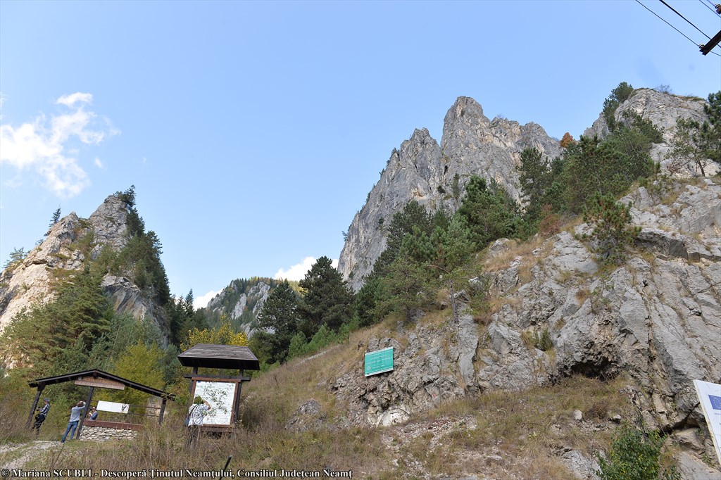 Cheile Șugăului – photo 8
