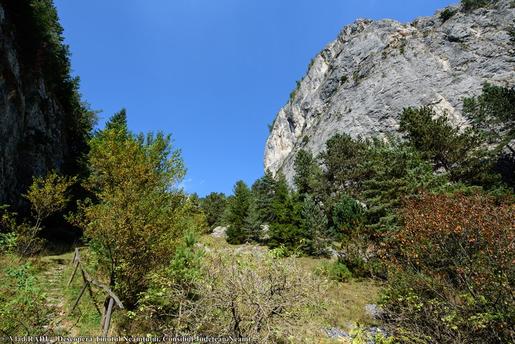 Cheile Șugăului – photo 10