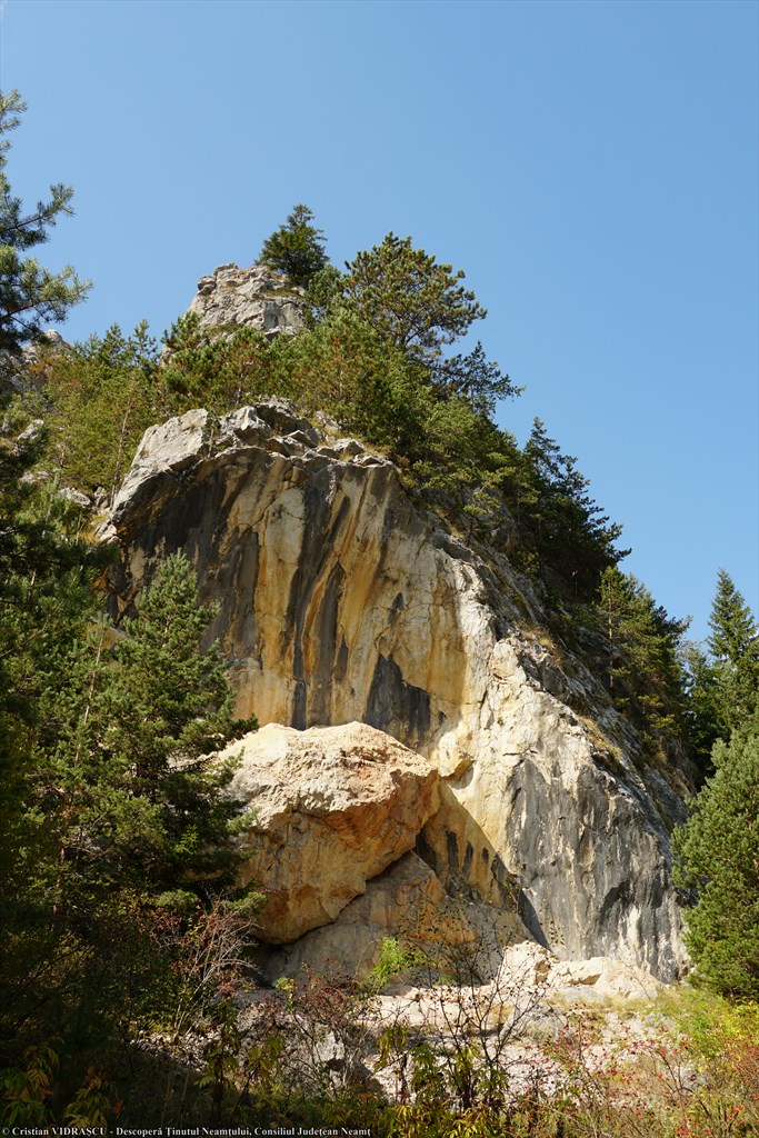 Cheile Șugăului – photo 11