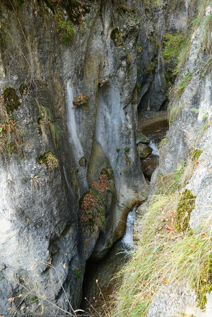 Cheile Șugăului – photo 13