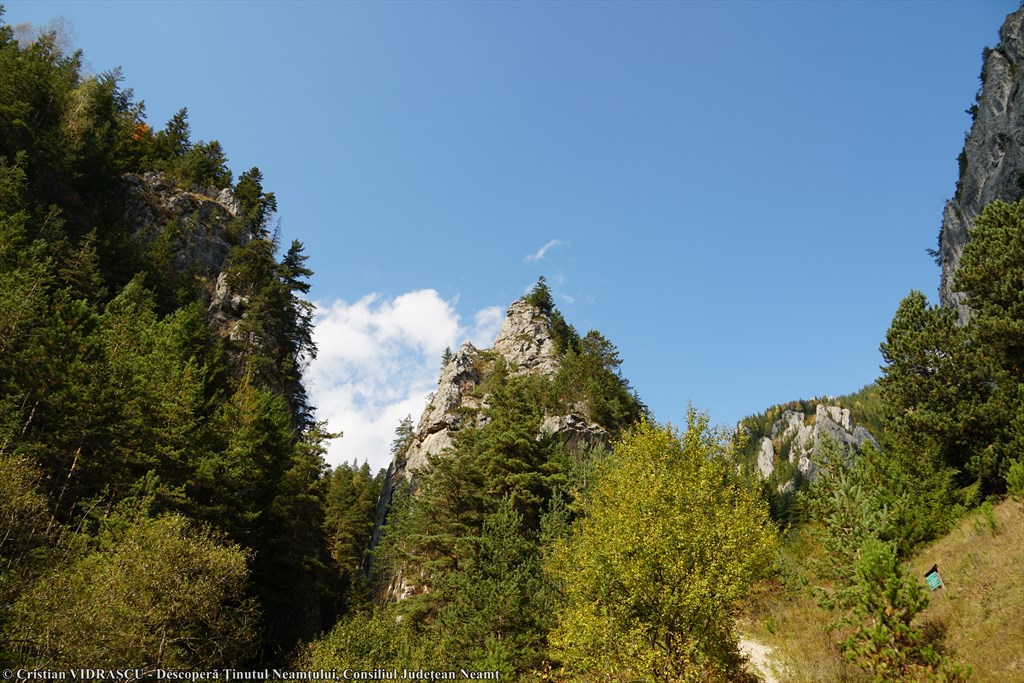 Cheile Șugăului – photo 3