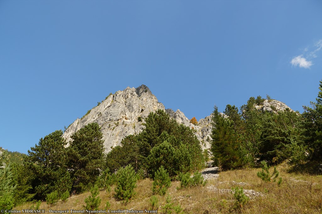 Cheile Șugăului – photo 4
