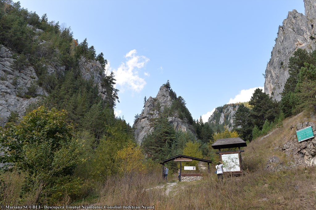 Cheile Șugăului – photo 6