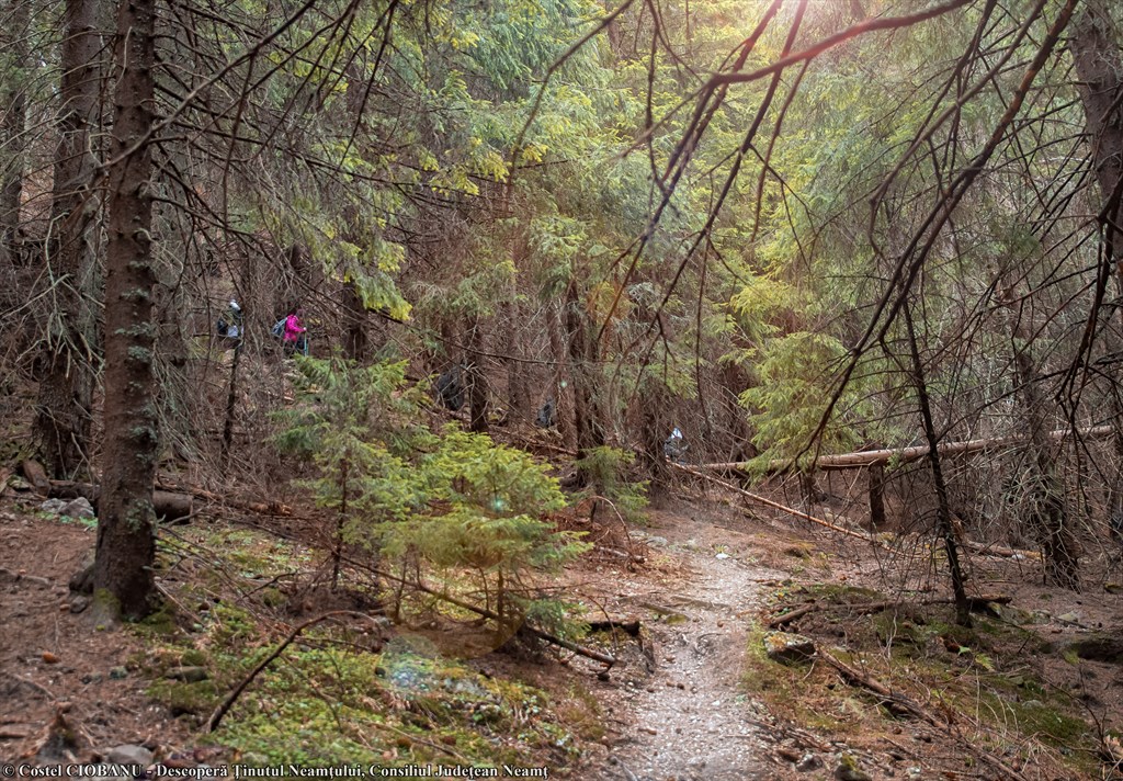 ECOBRUNCH – Ținutul Zimbrului. Eveniment de cultură gastronomică și promovare a destinației de ecoturism – fotografia 3