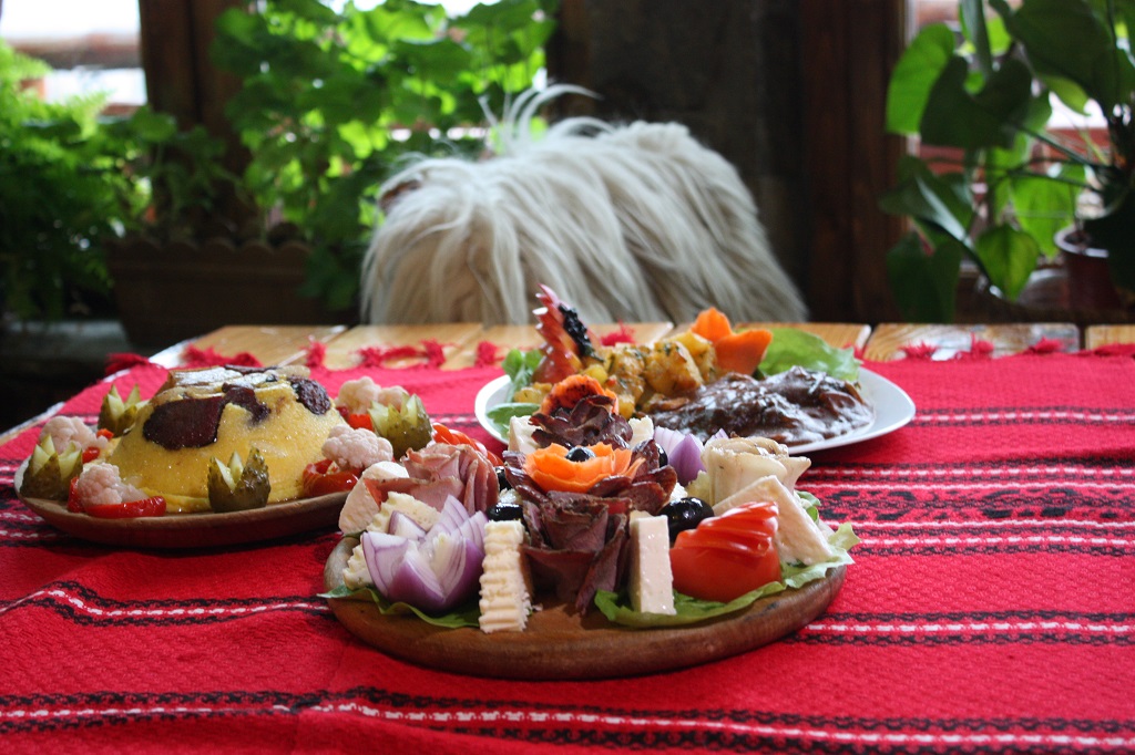 ECOBRUNCH – Ținutul Zimbrului. Eveniment de cultură gastronomică și promovare a destinației de ecoturism – fotografia 16