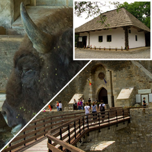 3-atractii-targu-neamt