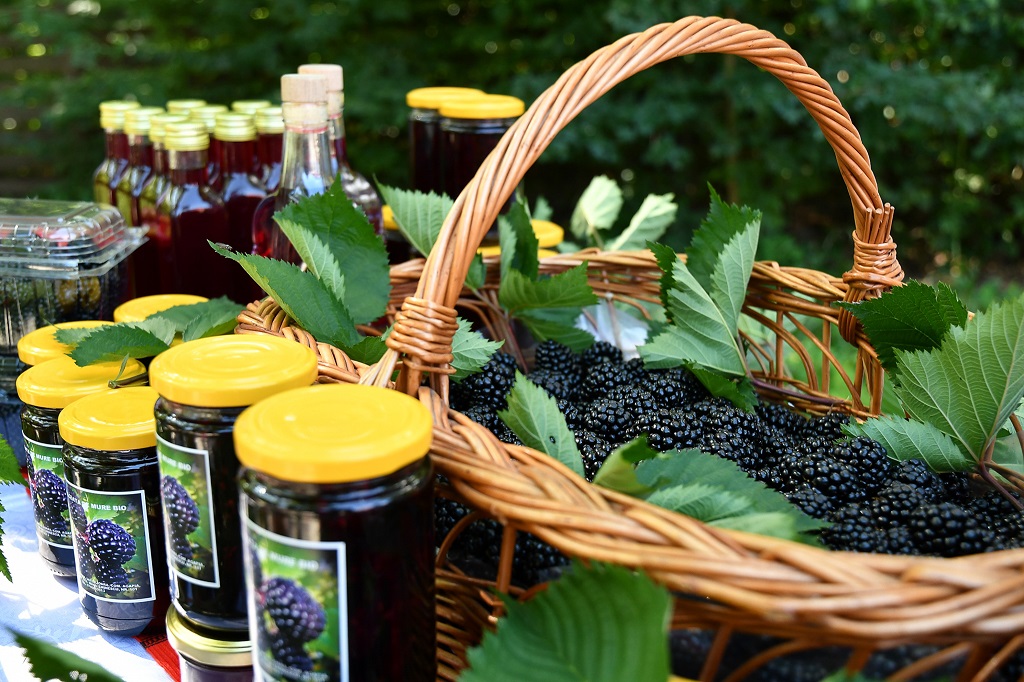 Voie bună și bucate alese la Eco Brunch Ținutul Zimbrului din Neamț