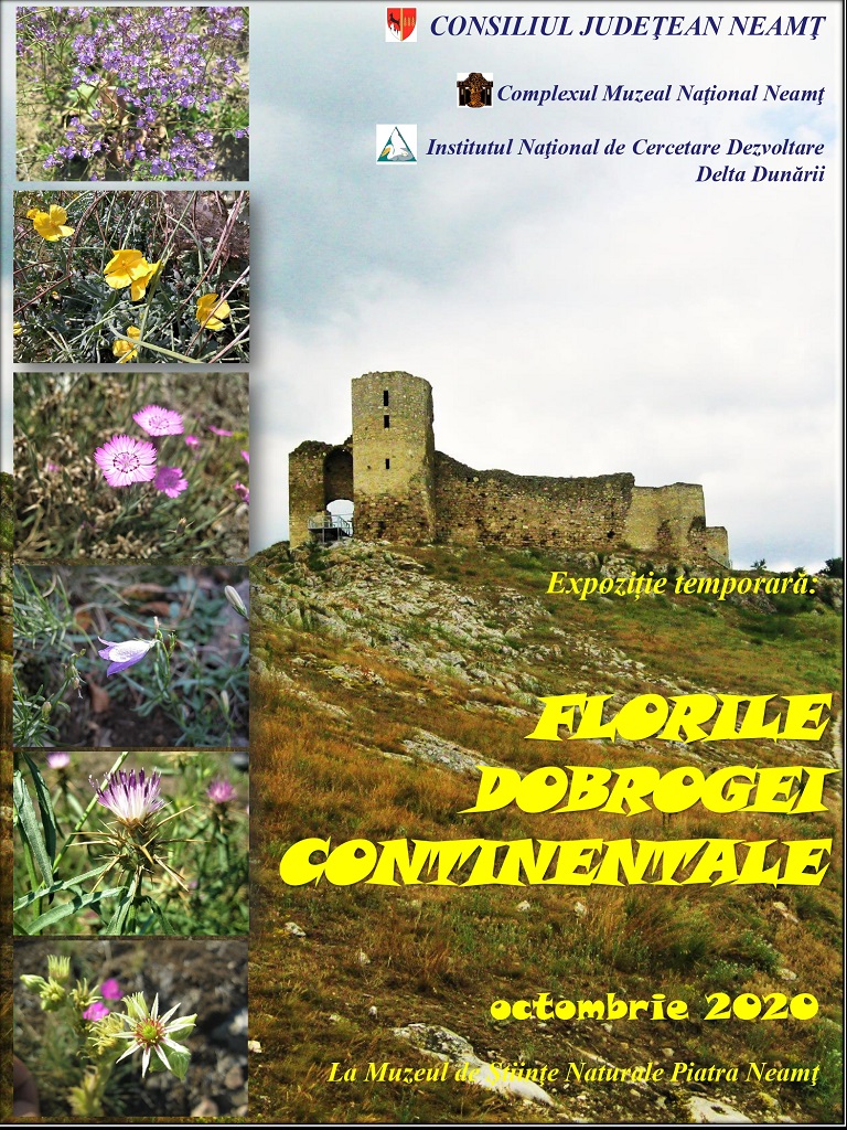 Expoziția Florile Dobrogei Continentale la Muzeul de Științe Naturale Piatra Neamț – fotografia 1