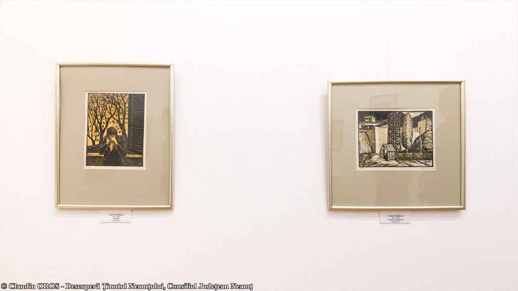 Art Gallery Piatra-Neamt – photo 11