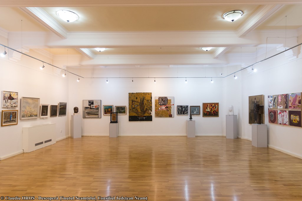 Art Gallery Piatra-Neamt – photo 10