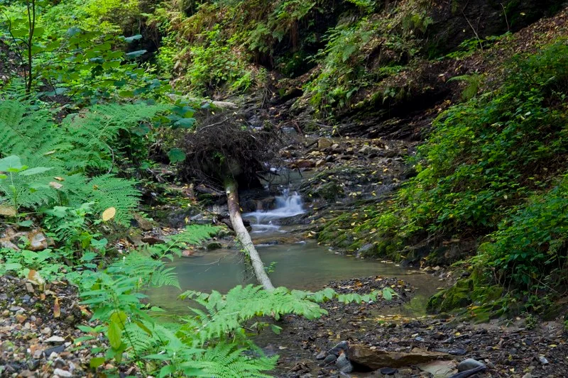 Duras Waterfall – Negulesti