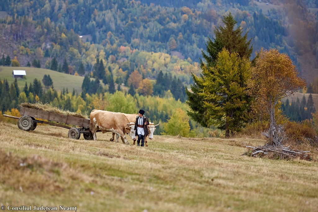 Neamț villages that will steal your heart