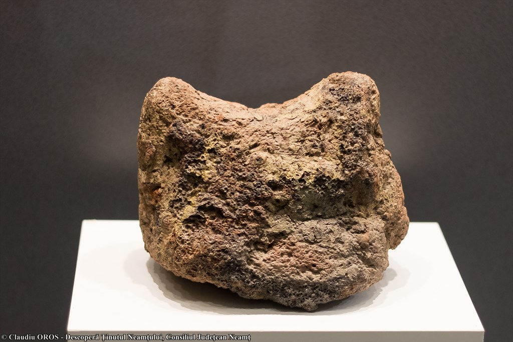 La Muzeul de Artă Eneolitică Cucuteni cu fotografii Cristian VIDRAȘCU și Claudiu OROS – fotografia 17