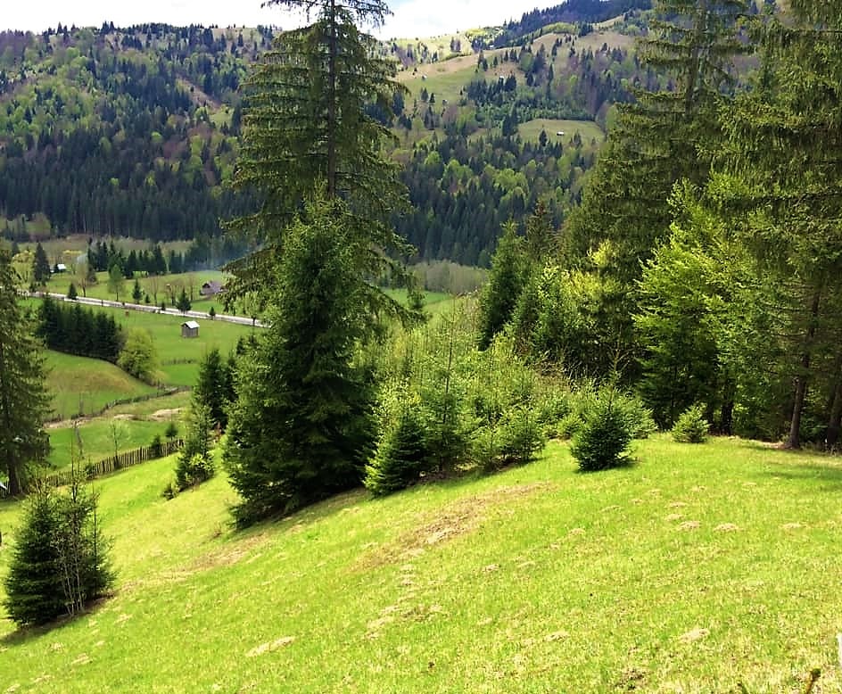 Satul Sabasa, loc de poveste în Neamț – fotografia 4