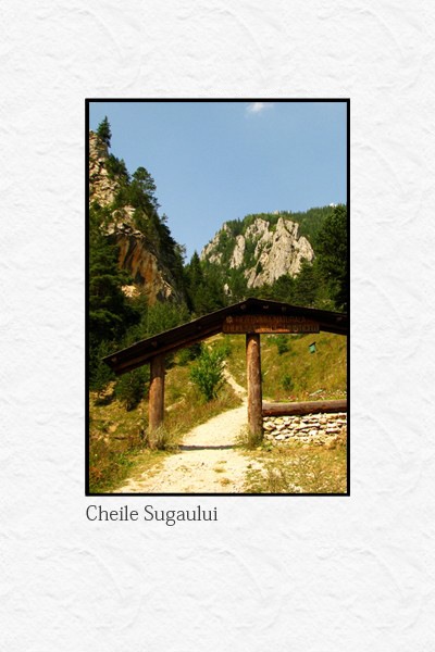 Cheile Sugaului - jud Neamt