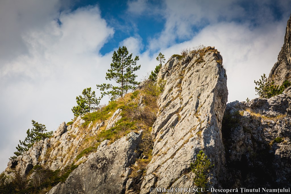 Împărăția de piatră de la Neamț – fotografia 10