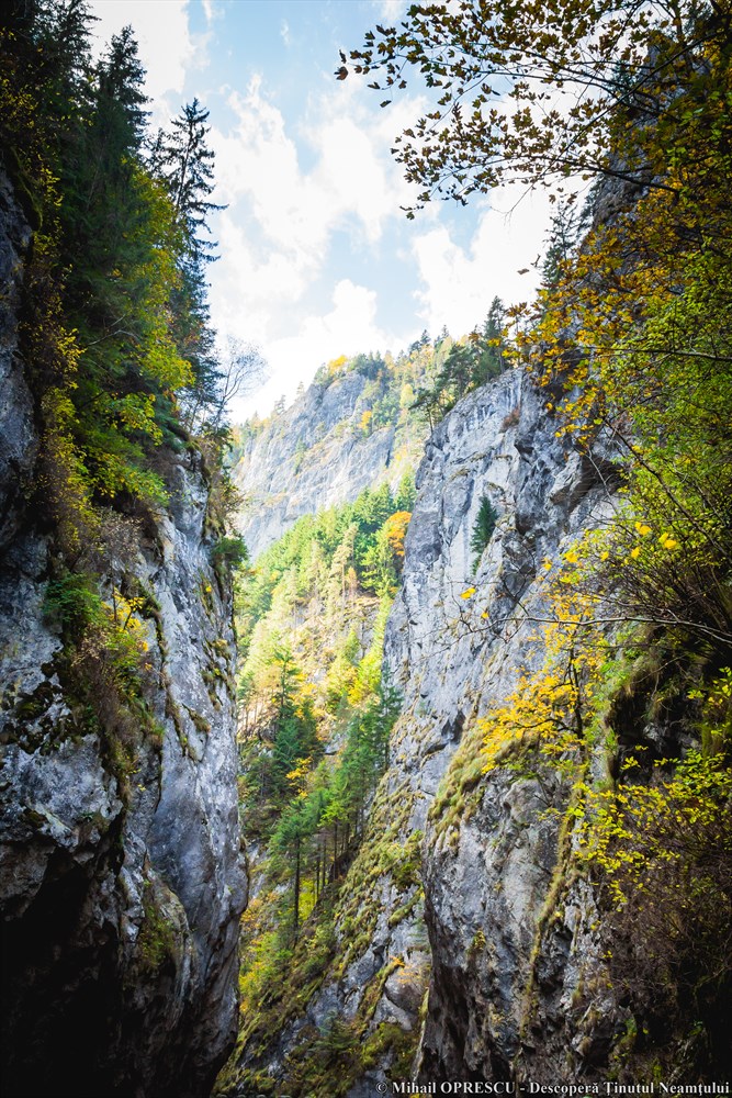 Împărăția de piatră de la Neamț – fotografia 11