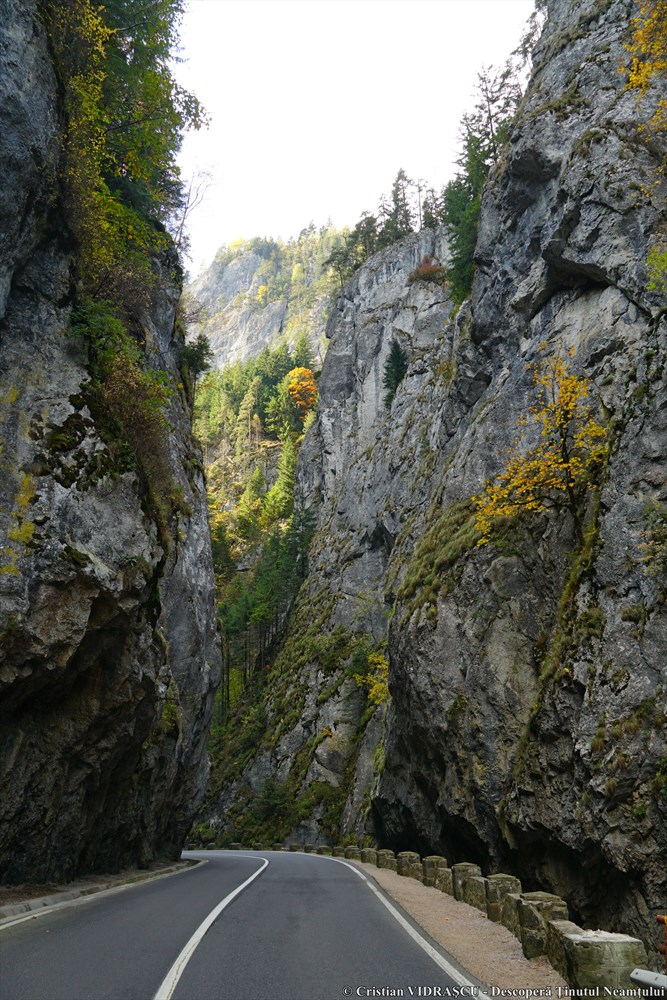 Împărăția de piatră de la Neamț – fotografia 18