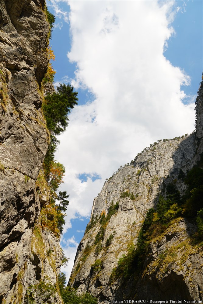 Împărăția de piatră de la Neamț – fotografia 22