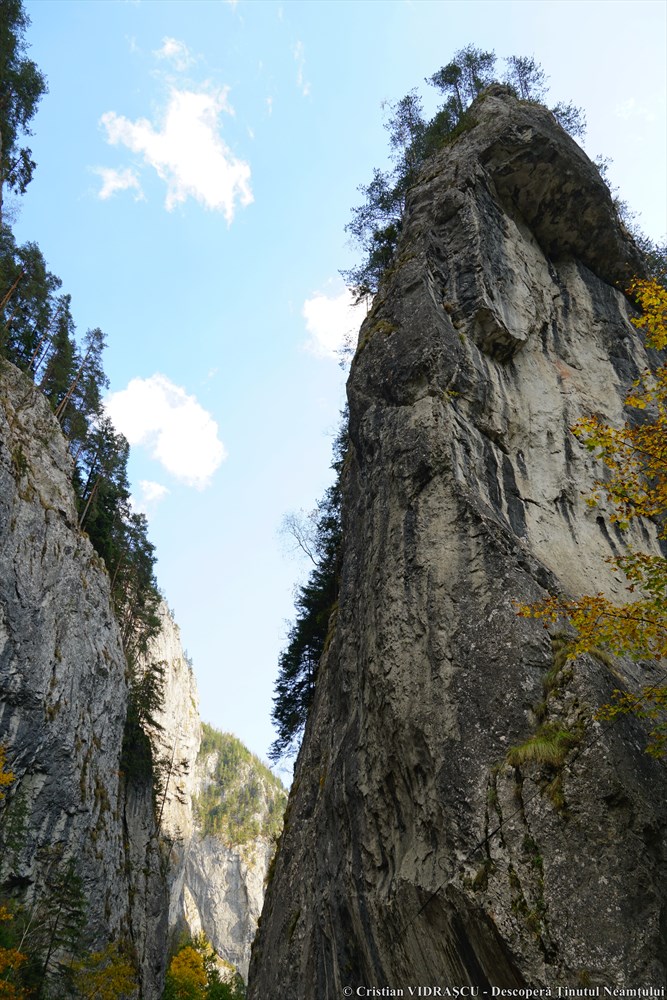 Împărăția de piatră de la Neamț – fotografia 31