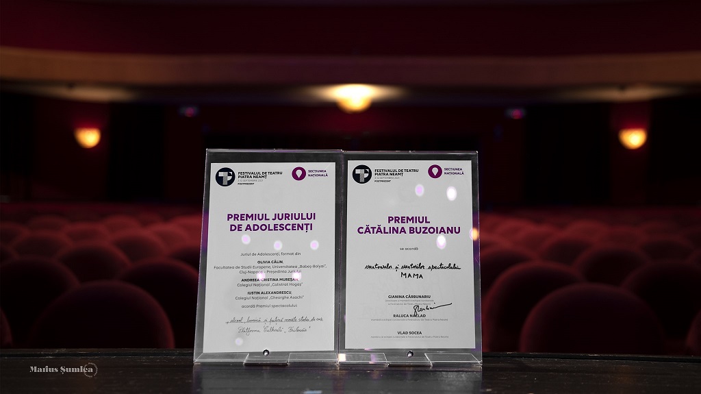 The End: Piatra Neamț Theatre Festival 2021 – photo 19