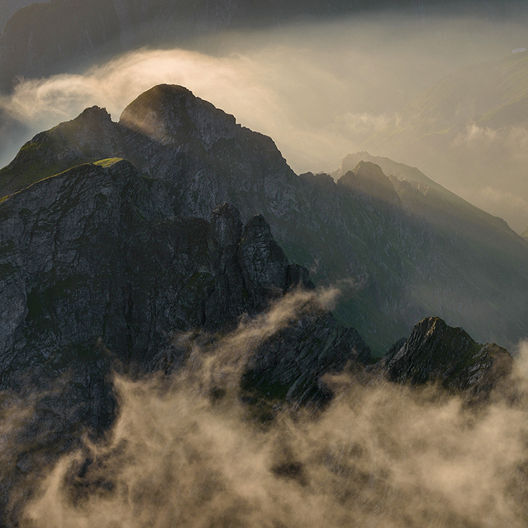 ”Wild Romania” now in Piatra Neamț – photo 4