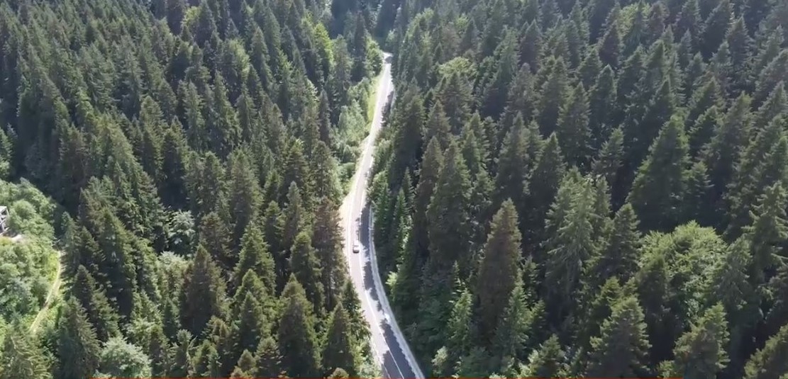 Story tale road in Neamț – photo 6