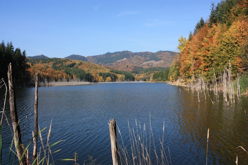 Lacul Cuejdel