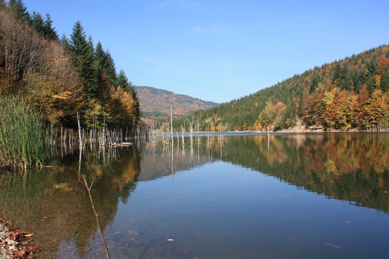 Lacul Cuejdel