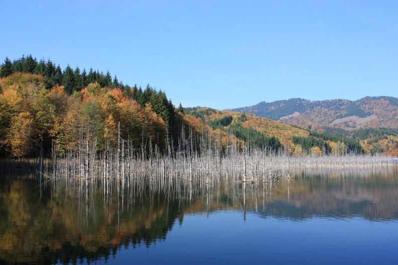 Lacul Cuejdel